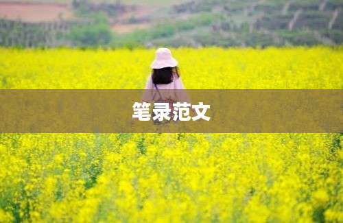 笔录范文