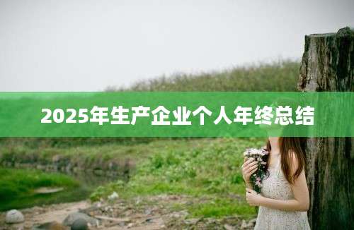 2025年生产企业个人年终总结