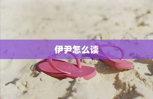 伊尹怎么读