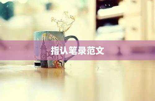 指认笔录范文