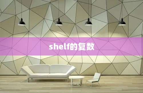 shelf的复数