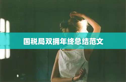 国税局双拥年终总结范文