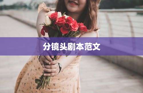 分镜头剧本范文