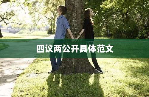 四议两公开具体范文