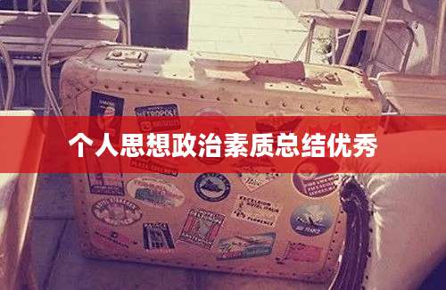 个人思想政治素质总结优秀