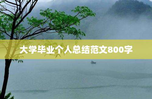 大学毕业个人总结范文800字