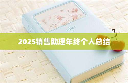 2025销售助理年终个人总结