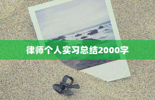 律师个人实习总结2000字