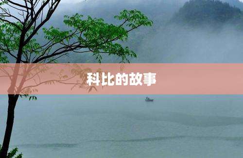科比的故事