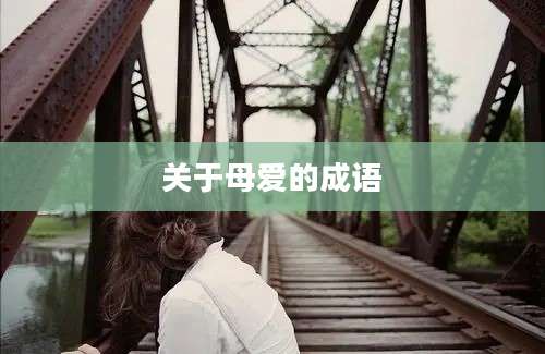 关于母爱的成语