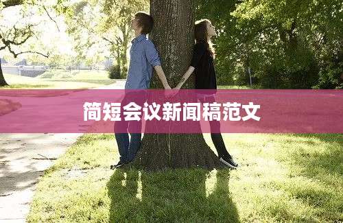 简短会议新闻稿范文