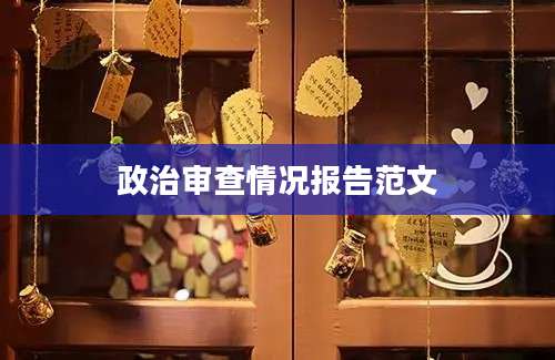 政治审查情况报告范文