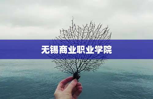 无锡商业职业学院