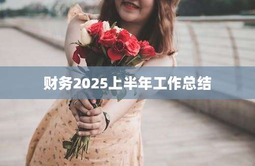 财务2025上半年工作总结