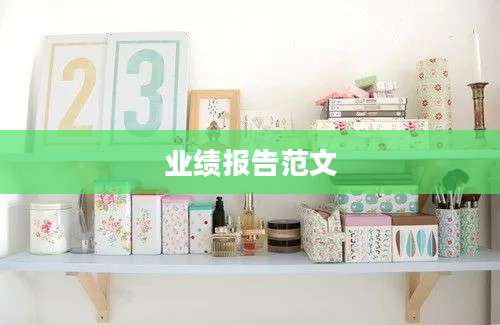 业绩报告范文