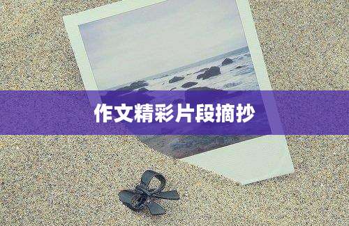 作文精彩片段摘抄