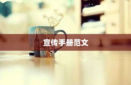 宣传手册范文