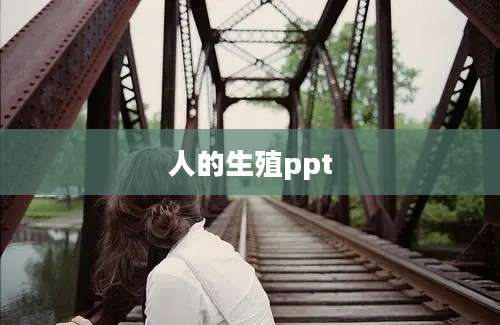 人的生殖ppt