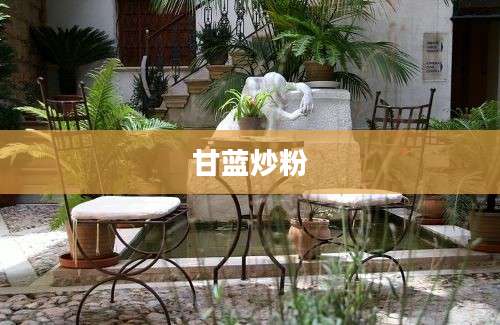 甘蓝炒粉