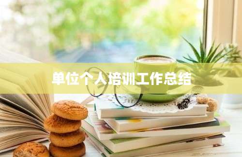 单位个人培训工作总结
