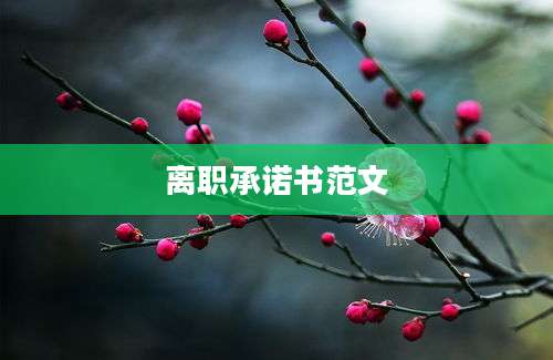 离职承诺书范文