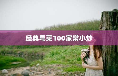 经典粤菜100家常小炒