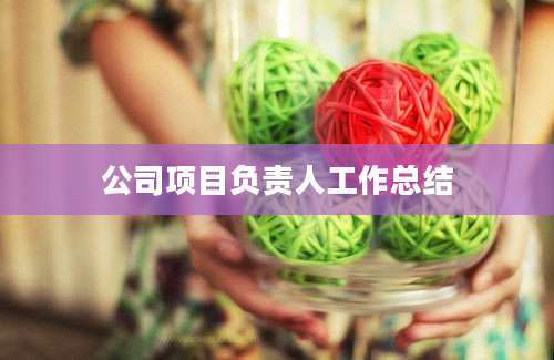 公司项目负责人工作总结