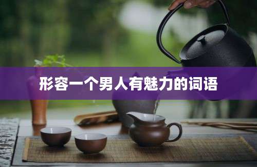 形容一个男人有魅力的词语