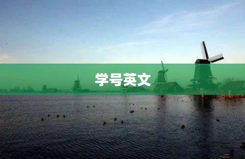 学号英文