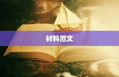 材料范文