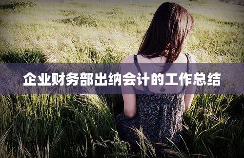企业财务部出纳会计的工作总结