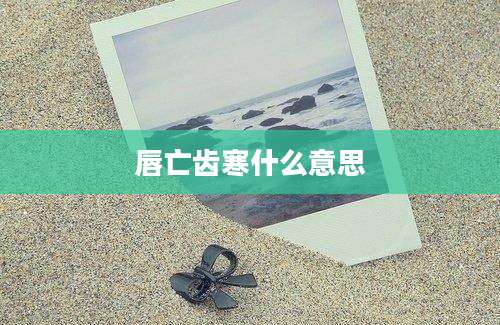 唇亡齿寒什么意思
