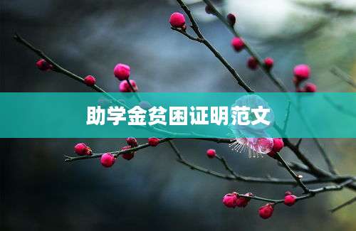 助学金贫困证明范文