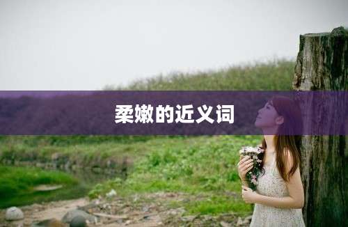 柔嫩的近义词