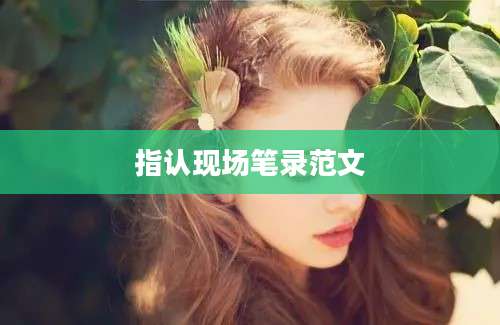 指认现场笔录范文