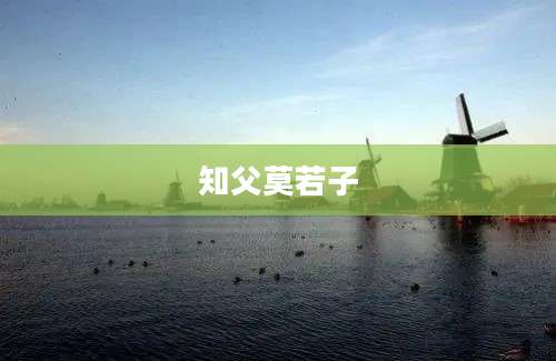 知父莫若子