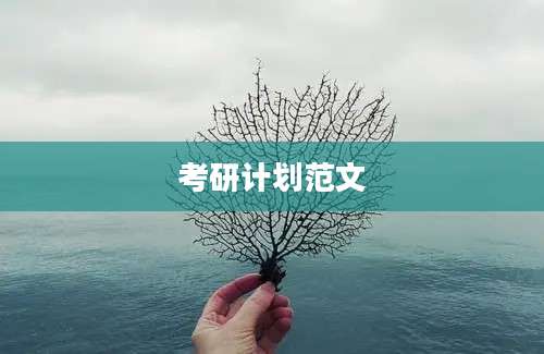 考研计划范文