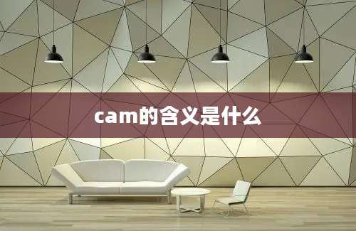 cam的含义是什么