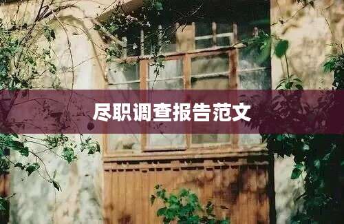 尽职调查报告范文