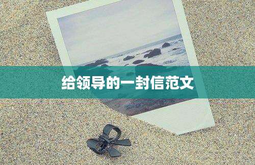 给领导的一封信范文