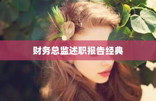 财务总监述职报告经典