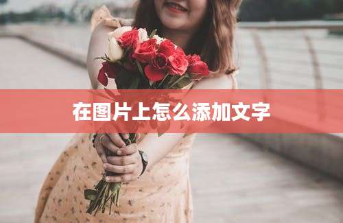 在图片上怎么添加文字