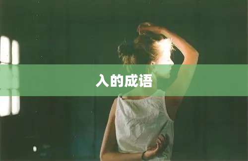 入的成语