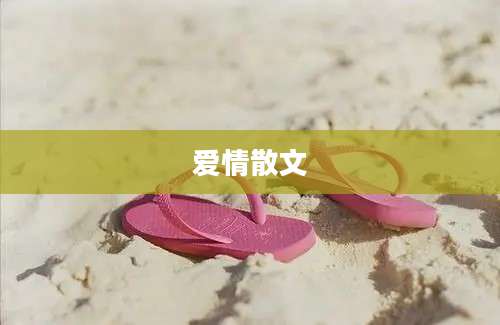 爱情散文
