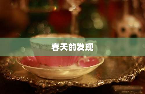 春天的发现