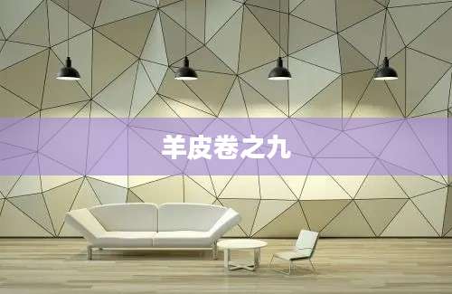 羊皮卷之九