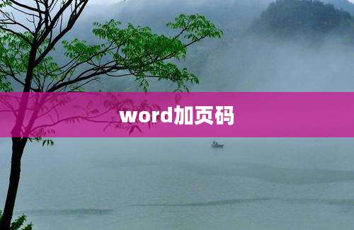 word加页码