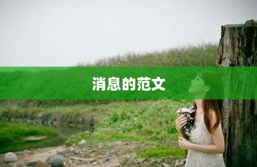 消息的范文