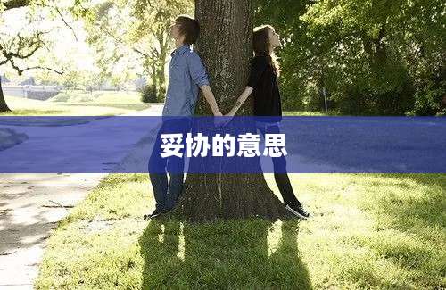 妥协的意思