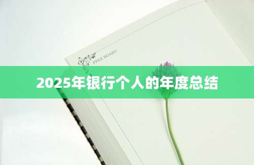 2025年银行个人的年度总结